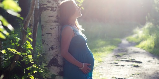 El Servicio de Ayuda a la Vida